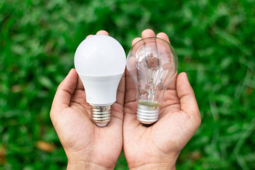 Illuminating the Future: A Deep Dive into Bulbs, Their Evolution, and Environmental Impact