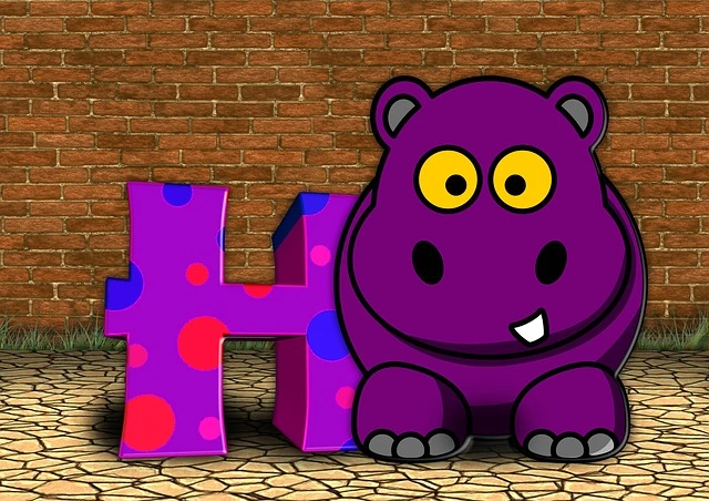 The Wordhippo 5 Letter Words An Insight