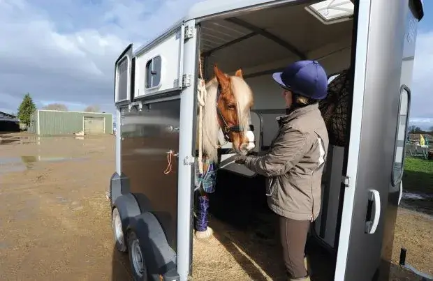 Navigating the Equestrian Highway: A Comprehensive Guide to Horse Trailer Brands